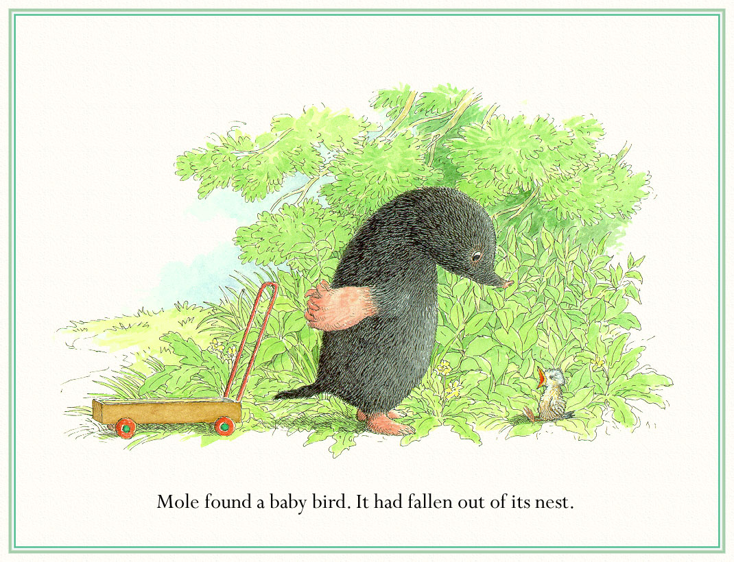 moleandthebabybird (02),绘本,绘本故事,绘本阅读,故事书,童书,图画书,课外阅读